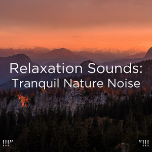 편안한 물 소리