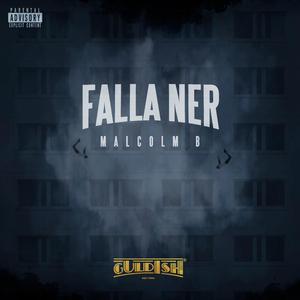 FALLA NER