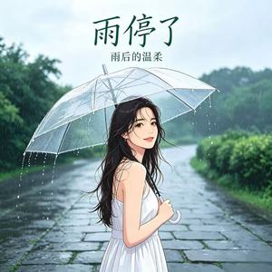 雨停了