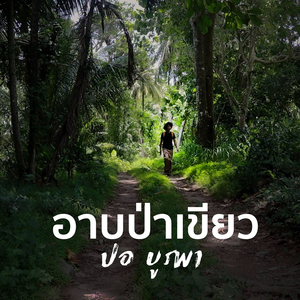 อาบป่าเขียว
