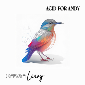 Acid for Andy