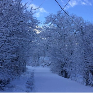 Erenköy (Hers) Halay Müzikleri 1