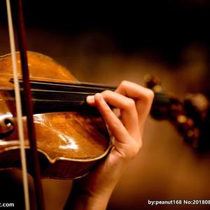 她-第五人格（ost改编）