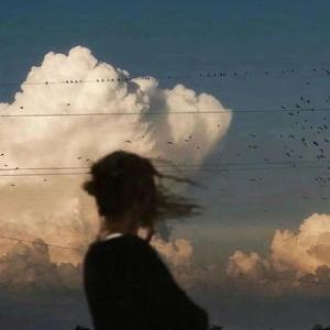 他不懂（她留给你是背影BGM版）