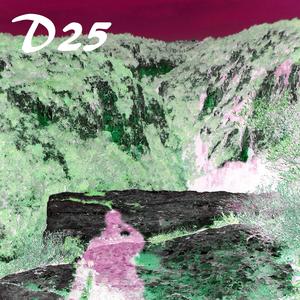 D25