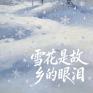 雪花是故乡的眼泪