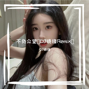 不负众望（DJ晓锋 remix）