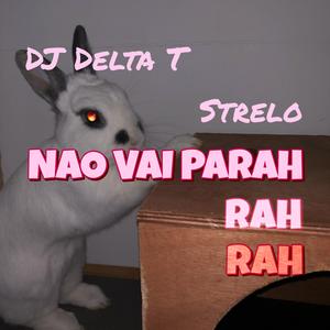 Nao Vai Parah (feat. Strelo)
