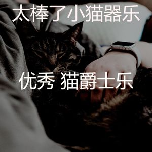 有趣小猫情怀