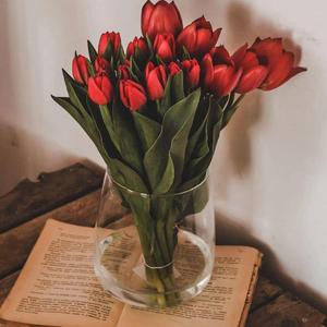 老牌子Dj（Айзимат·Абу Лимити remix）