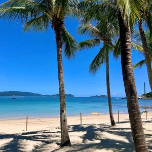 音质-流浪-菌菌