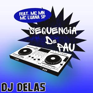 SEQUENCIA DE PAU (feat. MC MN & MC LUANA SP)