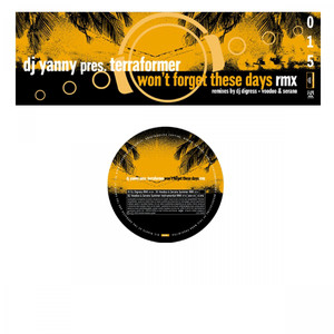 Won't Forget These Days (Voodoo & Serano Summer RMX)