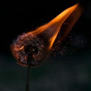 The Melancholy Horizon