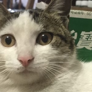 离殇之忆（Prod by Starlightchaser）