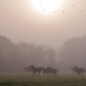 GOMD (feat. BB & Rac3r Stef)