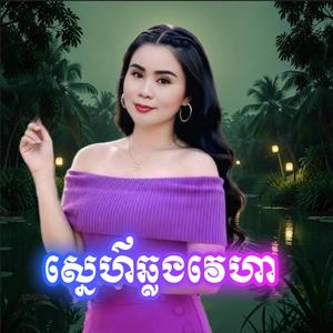 ស្នេហ៍ឆ្លងវេហា