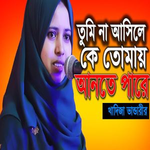 তুমি না আসলে কে আনিতে পারে