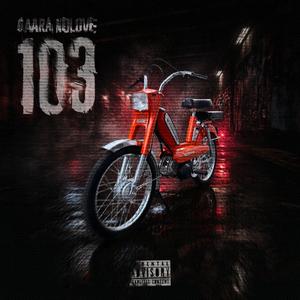 103