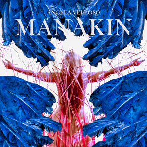 Manakin