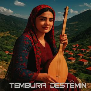 Tembura Destêmın