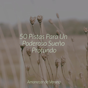 Murmuros Melódicos Debajo