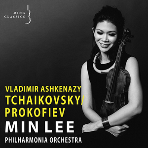 Violin Concerto in D Major, Op. 35: I. Allegro moderato - Moderato assai