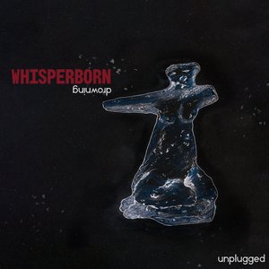 Shapeless (Unplugged)