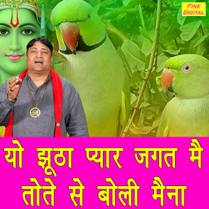Yo Jhootha Pyar Jagat Me Tote Se Boli Maina