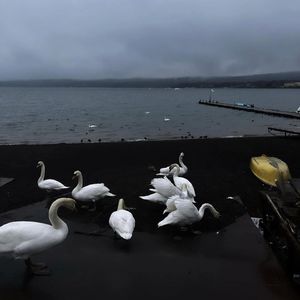 当失望成为一种习惯