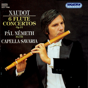 Flute Concerto in D Major, Op. 11, No. 4:I. Allegro