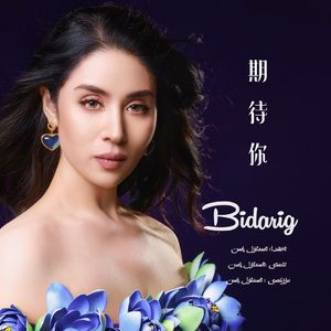 Bidaring/期待你