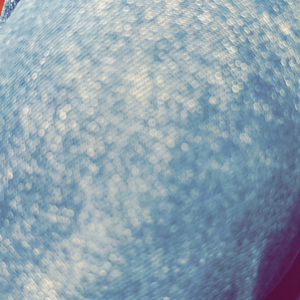 蒲公英的种子落在看不见的地方