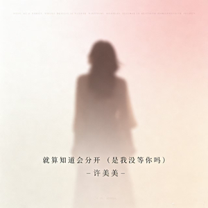 就算知道会分开（是我没等你吗）