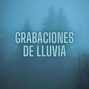 Meditación Bajo La Lluvia