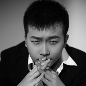 那个夏天我变成了会飞的猪