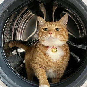 Outta Sight / Dark Lavender (slowed)