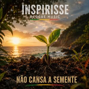 Não Cansa a Semente