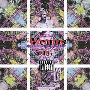 Venus.维纳斯
