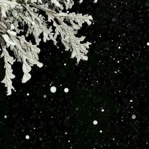 你看，星星一直都很亮