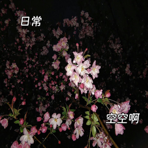 青山云水的赞歌