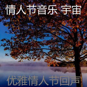 一尘不染鲜花花束印象数