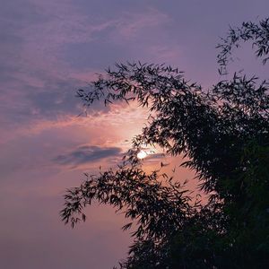 我眼里的世界