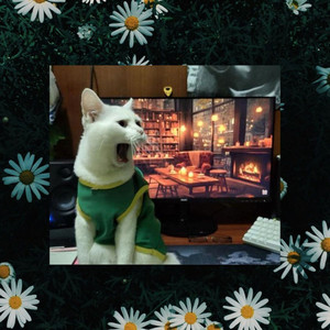 น่ารัก (Speed Up)