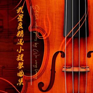 《真善美的小世界》小提琴练习