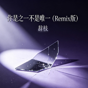 你是之一不是唯一 (Remix版)