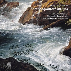 Quintet in E-Flat Minor, Op. 87: I. Allegro e risoluto assai