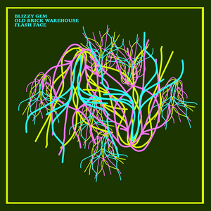 Flash Face (Terry de Jeff Reprise Drums)