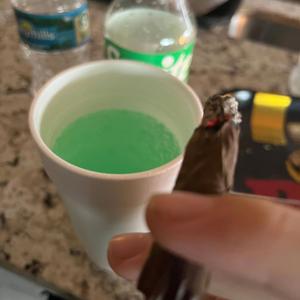 f**k my health freestyle