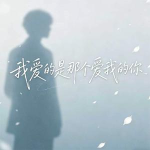 我爱的是那个爱我的你(R&B版)
